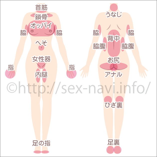 女性の性感帯を図解で解説|SEX-Navi